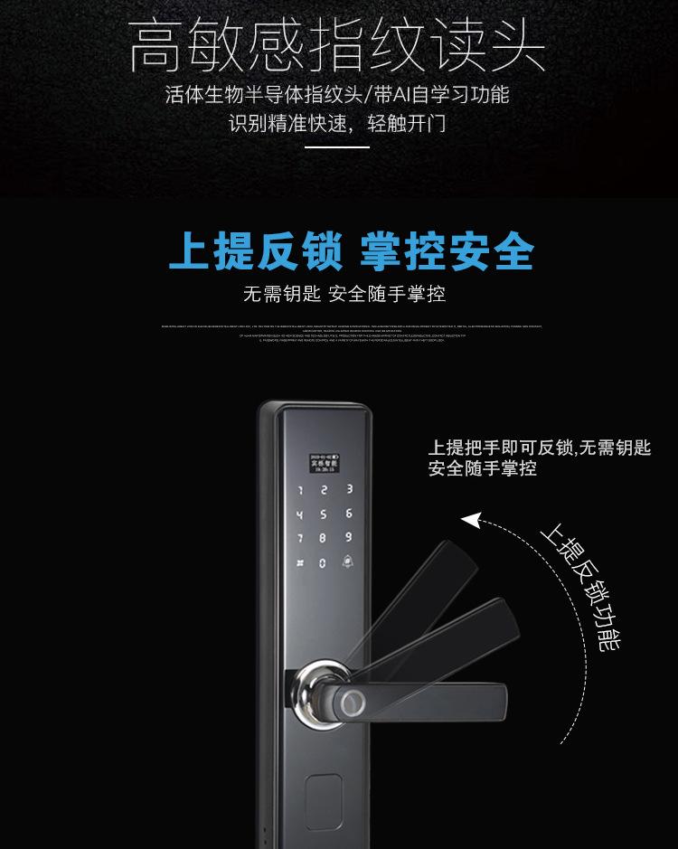 大恐龙详情-4.jpg