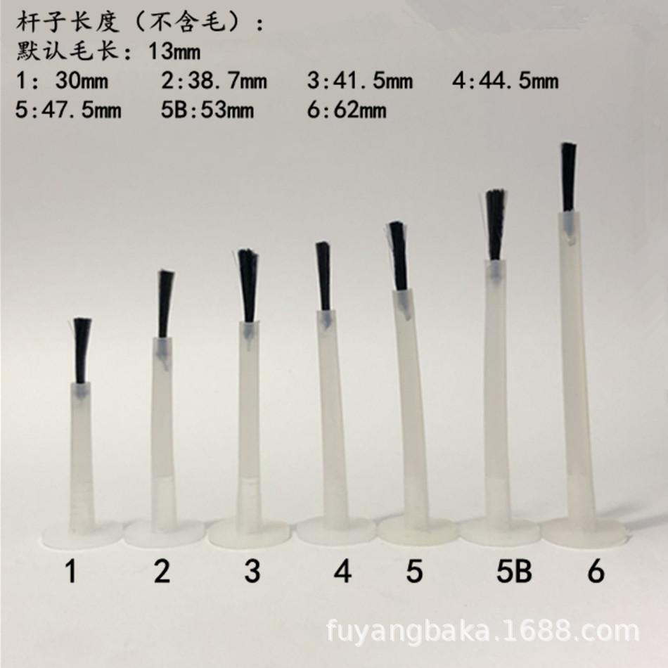 白毛杆 (2)