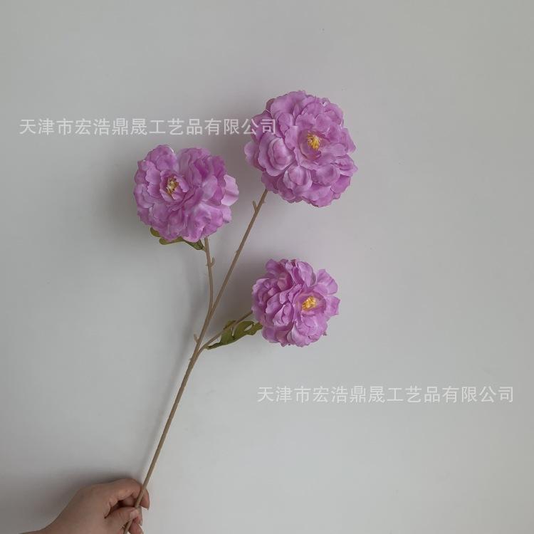 微信图片_20230811172747_副本