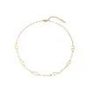 Accesorios de Collar de Acero de Titanio Chapado en Oro de 18 Quilates Europeos y Americanos que No se Desvanecen para Mujeres Cadena para Clavícula Retro de Nicho con Corte de Nariz de Cerdo Joyería