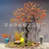 Árbol de Caqui Simulado, Árbol de los Deseos, Árbol Frutal Falso, Decoración Exterior, Árbol de Forma Simulada, Vestíbulo de Hotel, Paisajismo de Ventana de Empresa
