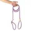 Cuerda P para Perro, Correa para Perro, Cuerda Anti-Explosión para Perro, Cadena P para Paseo de Perros, Cadena Engrosada para Entrenamiento de Perros para Perros Pequeños, Medianos y Grandes, Cadena para Perro Mascota