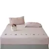 Outono e Inverno Espessado Quente Super Macio Leite Fleece Lençol de Elástico Conjunto de Três Peças Estilo Fresco Bordado Antiestático Cor Sólida Peça Única Lençol de Elástico