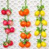 Cuerda de verduras artificiales, cuerda de frutas colgante, modelo de cuerda, espuma, casa de campo, restaurante, restaurante, jardín de infancia, accesorios de fotografía, decoración suave