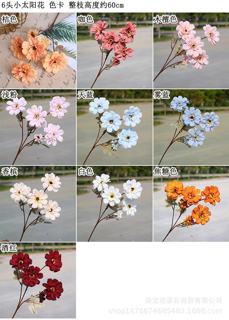 6头小太阳花 全色卡 .jpg