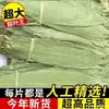 Folhas Grandes de Zongzi Secas, Folhas Novas de Tamanho Grande para Embrulhar Zongzi, Festival do Barco-Dragão, Uso Doméstico, Uso Comercial, Atacado de Folhas de Zongzi