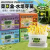 Regalo Día del Niño Creativo Planta de Cultivo Hidropónico Pequeña Planta en Maceta Caja de Observación de Brotes Crecimiento de Vegetales Regalo