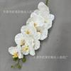 Exportación al por mayor Fábrica transfronteriza Nuevo Película con tacto de impresión 3D Flores artificiales 9 Cabezas Phalaenopsis simulado