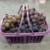 Cesta de Plástico para Recolección de 5 kg para Frutas, Naranjas, Fresas, Bayas, Champiñones y Verduras, Venta Directa del Fabricante, Bandeja de Frutas de Estilo Simple