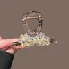 Exquisito Pasador de Cristal de Alta Gama Importado de Corea desde Dongdaemun, Corea, Pinza Grande Moderna y Elegante para Recogidos Completos