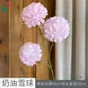 Bola de Nieve Crema Tallo Único Bola de la Suerte Accesorios de Fotografía Flores Artificiales Alta Calidad Frescas Flores para Pasillo de Boda