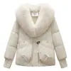 Moda de Inverno 2026 Versátil Casaco de Algodão Estiloso com Gola Grande de Pelo, Jaqueta Elegante de Algodão, Roupa de Exterior Solta Estilo Coreano