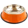 Comedero y Bebedero para Mascotas de Acero Inoxidable para Perros y Gatos, Base Antideslizante Duradera con Huella de Acero Inoxidable para Gatos, Comedero para Perros, Comedero para Mascotas