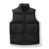 Chaleco moderno estilo japonés para otoño e invierno, cuello alto, talla grande, versátil, nuevo chaleco exterior engrosado