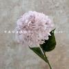 Única grande flor de hortênsia de quatro cantos hortênsia casamento floral flor de casamento flor artificial arco flor parede flor tiro adereços