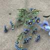 Viento de océano azul flores de simulación para boda al por mayor azul oscuro azul zafiro azul bruma blanco boda camino guía techo flores falsas