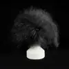 Parches de Piel Sintética para Mascotas Práctica de Esteticista Parches de Pelo de Espalda Pelo de Perro Pelo de Cabeza Esqueleto de Caniche Modelo Oso de Peluche Bichón