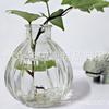 Garrafa de abóbora de cortiça planta garrafa de desejos hidropônica garrafa de mensagem em uma garrafa de vidro vintage vaso de abóbora