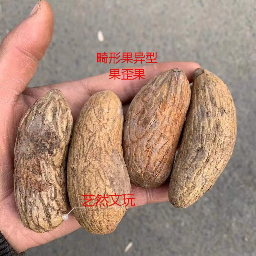 微信图片_20220115120049