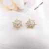 Aretes Copo de Nieve Moda Coreana Femeninos Zircón Aretes Vintage Lujo Ligero Sensación de Alta Gama Pines de Plata Esterlina S925