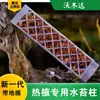 Pilar de musgo Sphagnum para pared, nuevo modelo 2026 para plantas tropicales, pilar de soporte para planta trepadora Monstera, se puede empalmar y extender para ajustar el tamaño