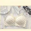 Venda Direta da Fábrica Venda Quente Transfronteiriça Estilo Doce e Feminino Sexy Levanta-Busto Suporte Macio Anti-Queda Sutiã Sem Costura para Mulheres