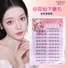 Pestañas Postizas Yuxiaoya Magnolia para Mujer Estilo Natural Simuladas Transparentes con Tallo Delgado Segmentadas Individuales en Racimo Injerto Sensación de Aire