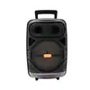En Stock de Fábrica Altavoz Portátil Colorido para Exteriores de 8 Pulgadas 20W Altavoz Bluetooth Bt-2086 con Micrófono