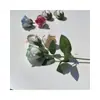 Caixa de Presente de Buquê de Flores Rosa Gelo Triturado Azul Colorido por Spray para o Natal e Dia dos Namorados do Fabricante Flor de Sabão Atacado Flor de Sabão