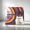 Suprimentos para Pets Mais Vendidos Areia para Gatos 10kg Areia de Tapioca Areia de Tofu Poeira Mista Sem Poeira Essencial para Gatos