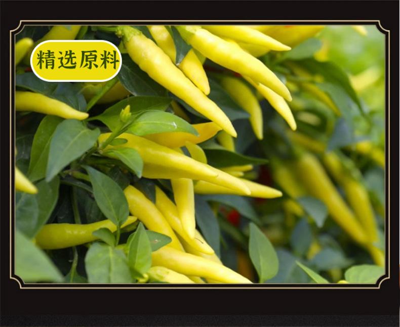 未标题-1_05.jpg