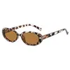 Nuevas Gafas de Sol de Moda Europeas y Americanas, Montura Ojo de Gato, Estilo Trendy, Gafas de Sol Estilo Callejero Lisas, Gafas de Sol Unisex