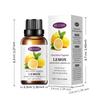 Aceite Esencial Inglés Completo Aceite Esencial Exportación Transfronteriza Difusor Sin Fuego Interior Soluble en Agua Aromaterapia Aceite Esencial