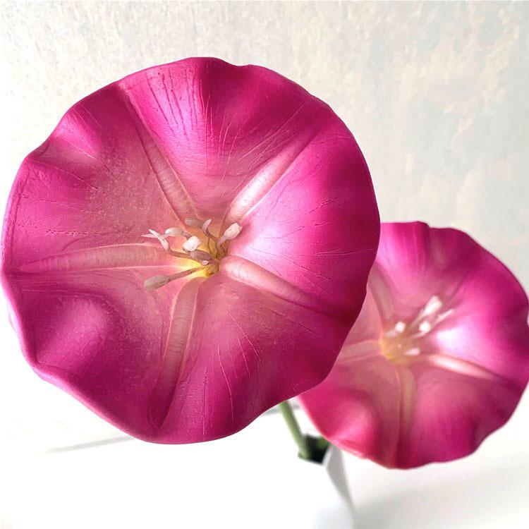 QQ图片20200405203036