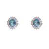 Moda de Nicho Versátiles Pendientes Ovalados de Diamante de Gama Alta para Mujer Temperamento Exquisito Diseño Simple Pendientes Súper Brillantes Venta al por Mayor