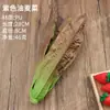 Verduras de Simulación Modelo de Fruta Falsa Decoración Adornos Accesorios Juguetes para Niños Exhibición Chile Tomate Maíz Calabaza