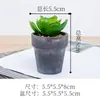 Planta de simulación carnosa en maceta personalidad simple decoración del hogar en maceta decoración de interior imitación bonsái realmente una generación de pelo