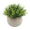 Simulación planta verde maceta hemisferio pulpa bonsái combinación adornos escritorio hogar planta mini artificial maceta venta al por mayor