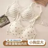 Lingerie Feminina de Verão Fina para Seios Pequenos, Anti-Queda, Estampa Floral, Novo Popular 2026 Sutiã Confortável Sem Costura