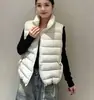 Chaleco ligero de forro polar nube de grafeno para mujer con cuello alto, nuevo estilo otoño/invierno 2026, cálido, sin mangas y se puede usar como chaqueta o prenda exterior