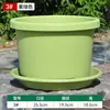 Maceta de Resina Gruesa Corta, Maceta de Plástico Transpirable para Bulbos, Tulipanes, Lirios, Amarilis, Crocus y Azafrán, Tamaño Grande
