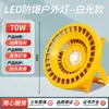 Luz à Prova de Explosão LED Luz de Túnel Baixa Tensão 12V24V36V Posto de Gasolina Armazém Fábrica Iluminação de Inundação 220V50W100W