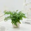 Plantas en Maceta Pequeñas de Interior Bbk, Plantas Verdes Fáciles de Cuidar para Escritorios de Oficina, Bonsái de Flores para las Cuatro Estaciones