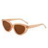 Nuevos Lentes de Sol Retro de Moda para Mujer, Lentes de Sol Ojo de Gato de Estilo Callejero de Moda Europea y Americana, Lentes de Sol de Moda Transfronteriza