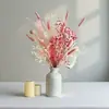 Ramo de Flores Secas, Hierba de la Pampa Más Vendida de Amazon, Juncia, Gypsophila, Flores Secas Serie Rosa, Regalo para el Día de San Valentín Chino y Navidad