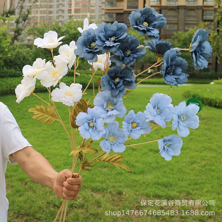 主图  林溪郡.JPG