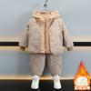 Ropa de Abrigo de Otoño e Invierno para Niños, Sudaderas Engrosadas, Chalecos de Algodón Elegantes para Bebés, Suéteres de Lana Cálidos de Terciopelo para Niños, Conjunto de Tres Piezas