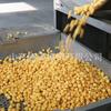 Máquina de palomitas esférica marca Longze línea de producción continua de palomitas
