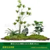 Série Paisagem de Expressão Idiomática de Quatro CaracteresCombinação de Plantas Verdes Artificiais para Paisagismo Decoração de Vitrine Interna