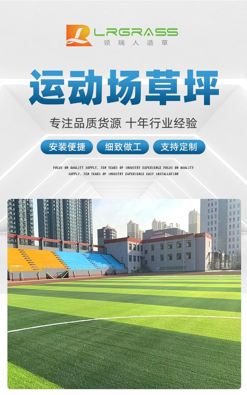 运动场草坪_02.jpg